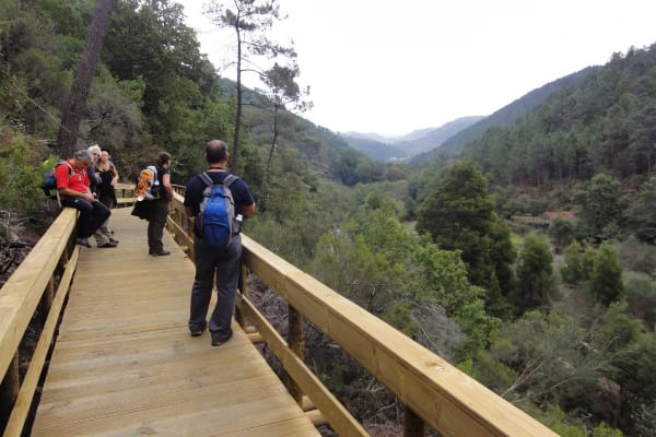 Foto 50 da atividade Galeria de Fotos