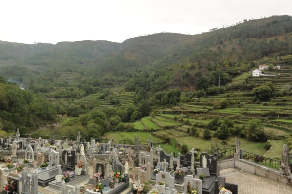 Foto 33 da atividade Galeria de Fotos