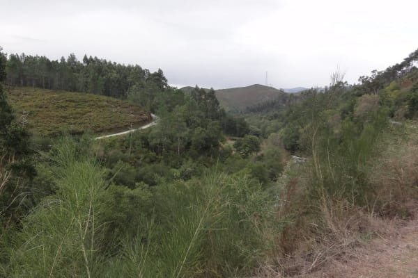 Foto 14 da atividade Galeria de Fotos