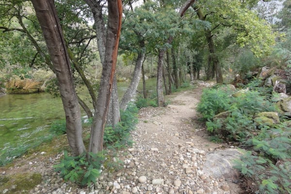 Foto 9 da atividade Galeria de Fotos