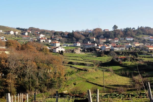 Foto 48 da atividade Galeria de Fotos