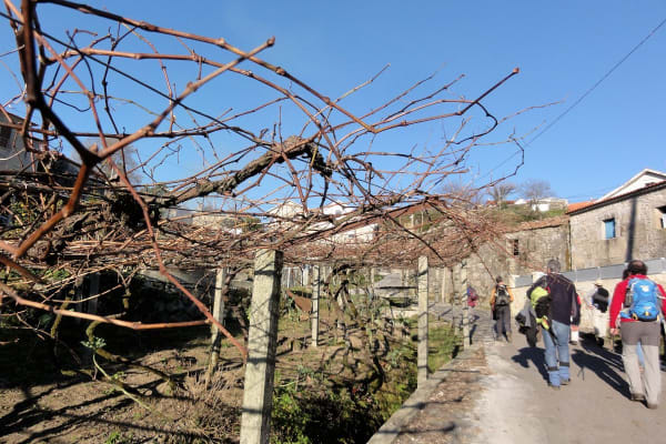 Foto 43 da atividade Galeria de Fotos