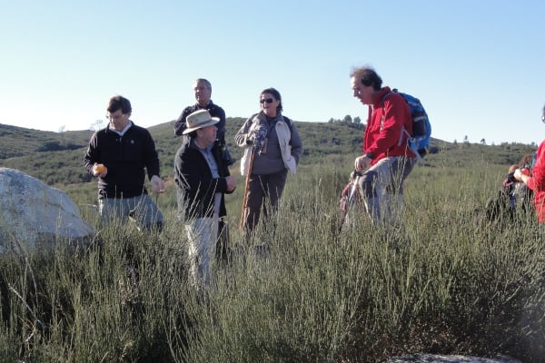 Foto 8 da atividade Galeria de Fotos