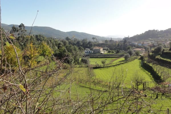 Foto 28 da atividade Galeria de Fotos