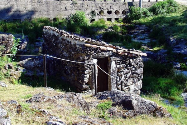 Foto 120 da atividade Galeria de Fotos