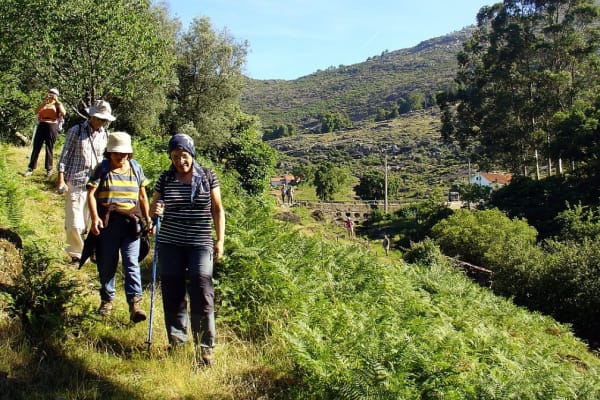 Foto 118 da atividade Galeria de Fotos