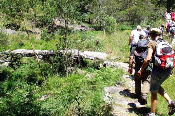 Foto 113 da atividade Galeria de Fotos