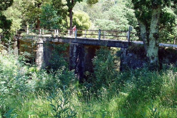 Foto 101 da atividade Galeria de Fotos