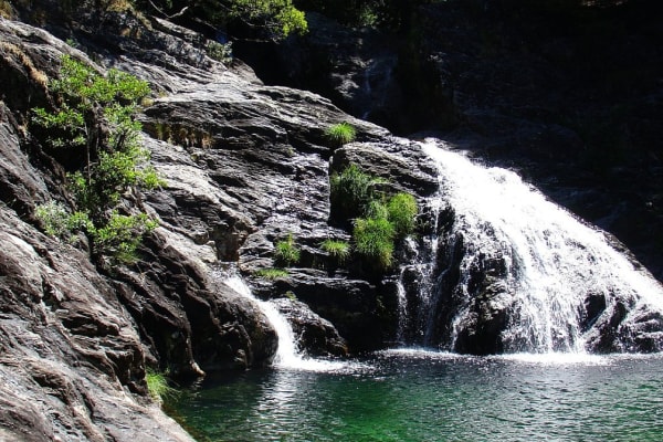 Foto 96 da atividade Galeria de Fotos