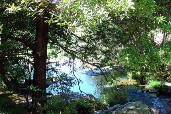 Foto 87 da atividade Galeria de Fotos