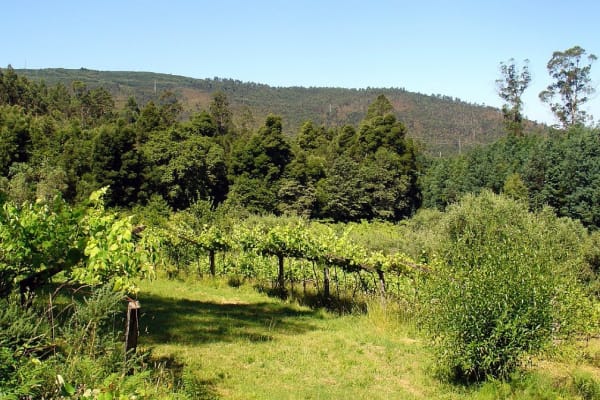 Foto 41 da atividade Galeria de Fotos