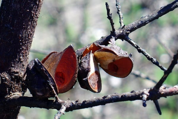 Foto 27 da atividade Galeria de Fotos