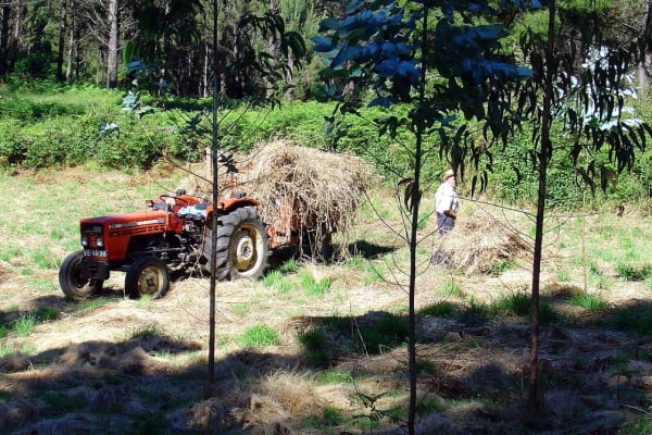 Foto 19 da atividade Galeria de Fotos