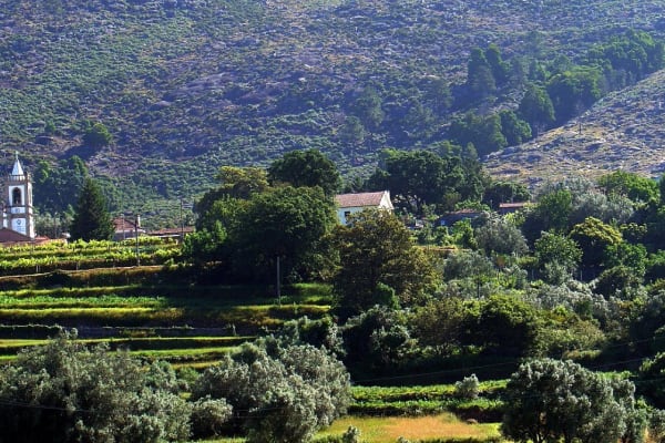 Foto 12 da atividade Galeria de Fotos