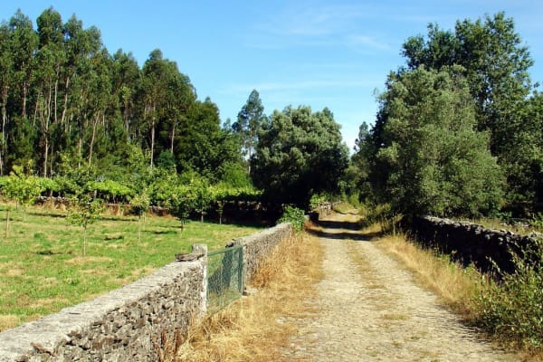 Foto 5 da atividade Galeria de Fotos