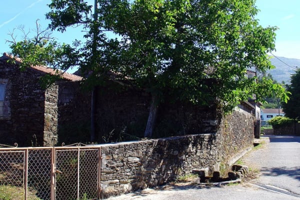 Foto 3 da atividade Galeria de Fotos