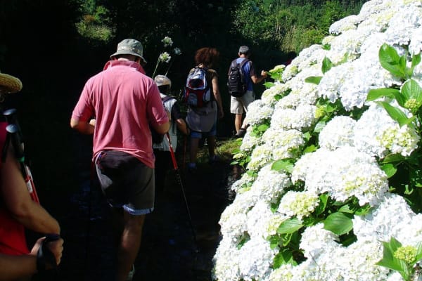 Foto 1 da atividade Galeria de Fotos