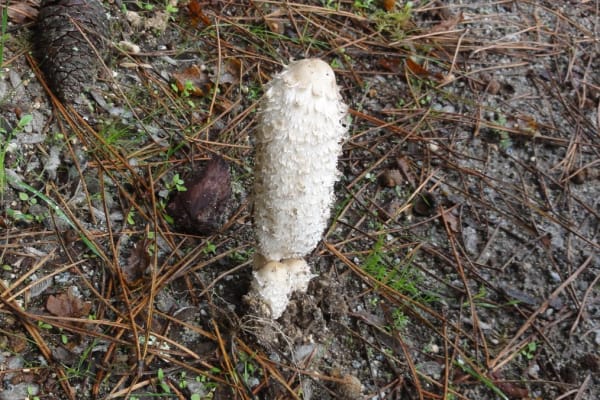 Foto 32 da atividade Galeria de Fotos