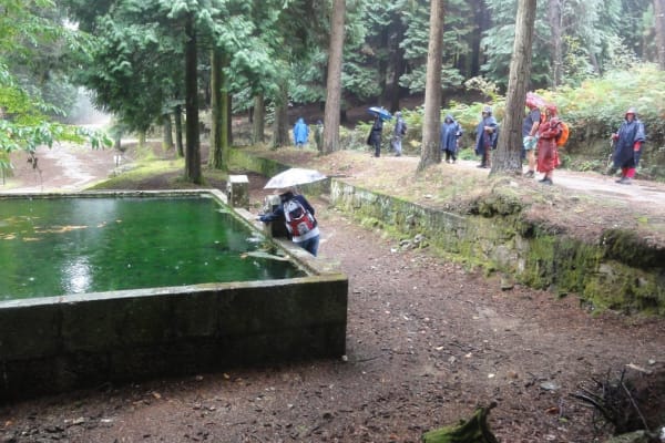 Foto 27 da atividade Galeria de Fotos