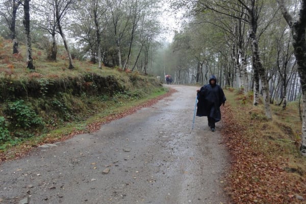 Foto 21 da atividade Galeria de Fotos