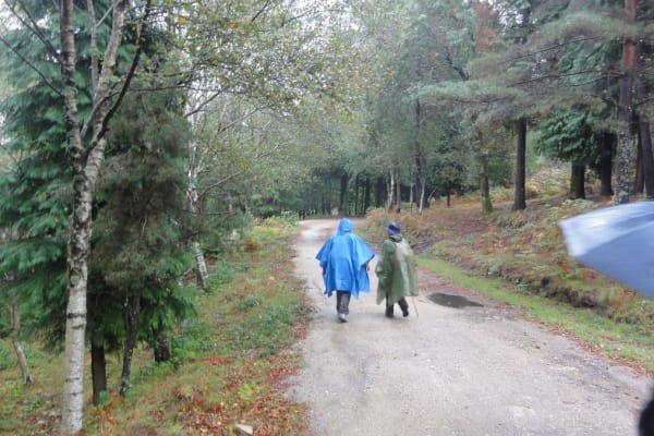 Foto 18 da atividade Galeria de Fotos