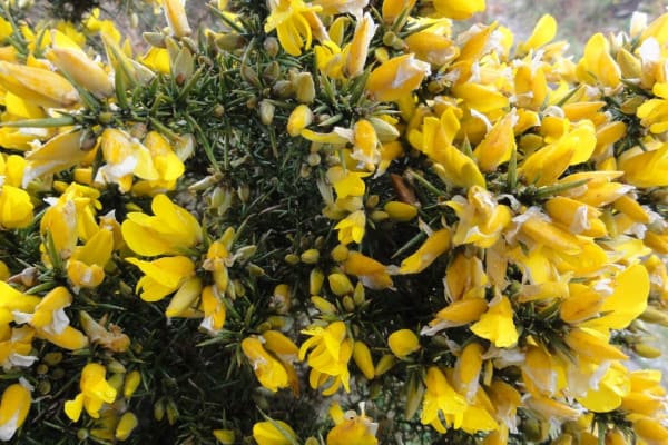 Foto 84 da atividade Galeria de Fotos