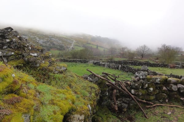 Foto 74 da atividade Galeria de Fotos