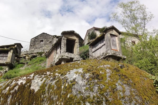 Foto 61 da atividade Galeria de Fotos