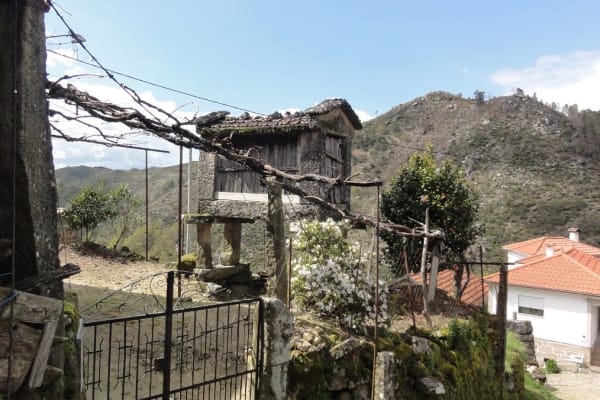 Foto 58 da atividade Galeria de Fotos