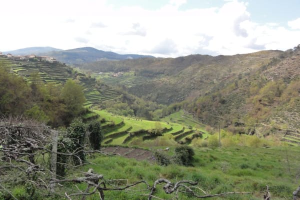 Foto 57 da atividade Galeria de Fotos