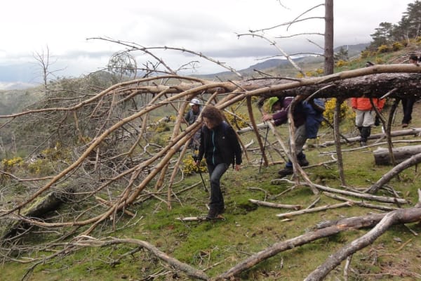 Foto 43 da atividade Galeria de Fotos