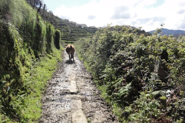 Foto 37 da atividade Galeria de Fotos