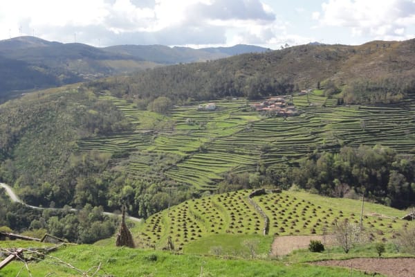 Foto 27 da atividade Galeria de Fotos