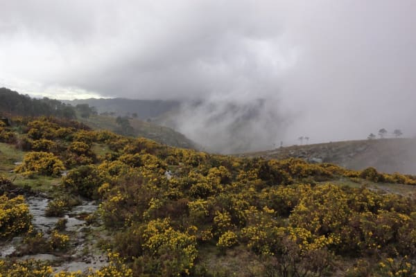 Foto 8 da atividade Galeria de Fotos