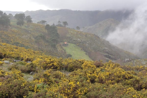 Foto 7 da atividade Galeria de Fotos