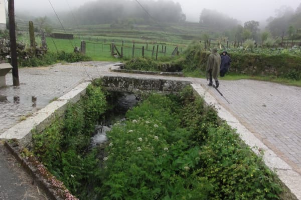 Foto 73 da atividade Galeria de Fotos