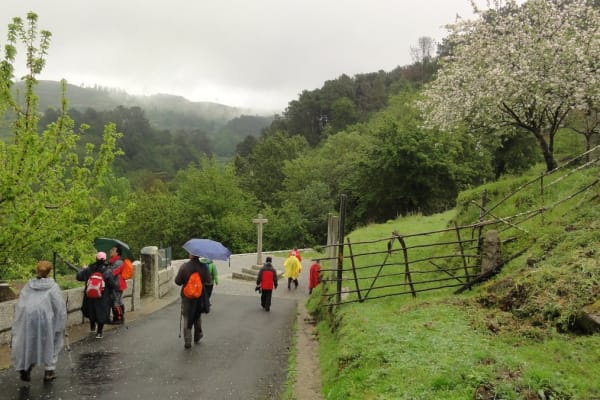 Foto 64 da atividade Galeria de Fotos