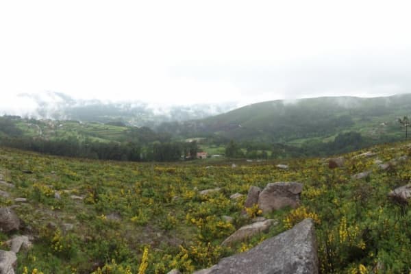 Foto 61 da atividade Galeria de Fotos