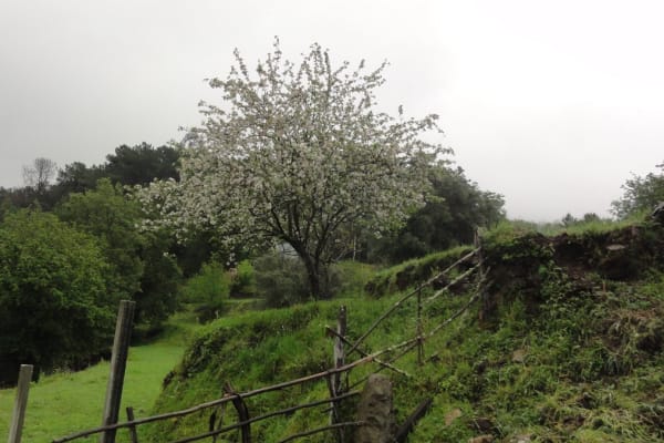 Foto 59 da atividade Galeria de Fotos