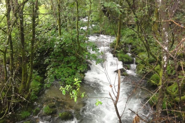 Foto 50 da atividade Galeria de Fotos