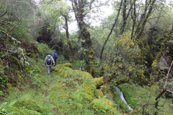 Foto 41 da atividade Galeria de Fotos