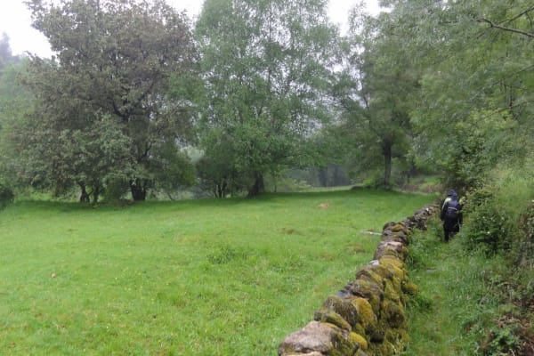 Foto 29 da atividade Galeria de Fotos