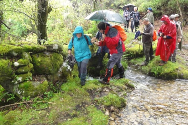 Foto 22 da atividade Galeria de Fotos