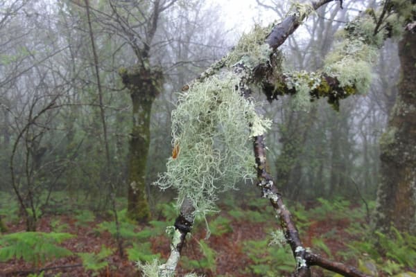 Foto 12 da atividade Galeria de Fotos