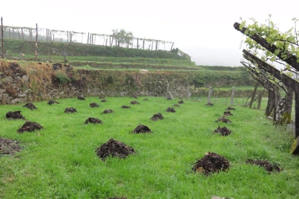 Foto 10 da atividade Galeria de Fotos