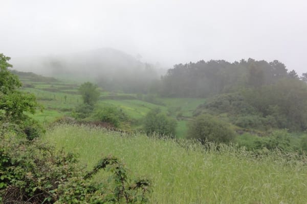 Foto 3 da atividade Galeria de Fotos