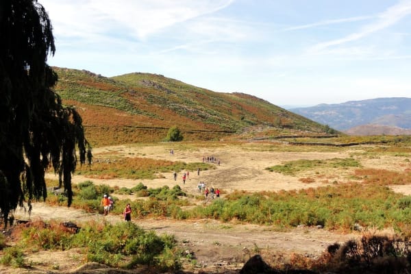 Foto 88 da atividade Galeria de Fotos