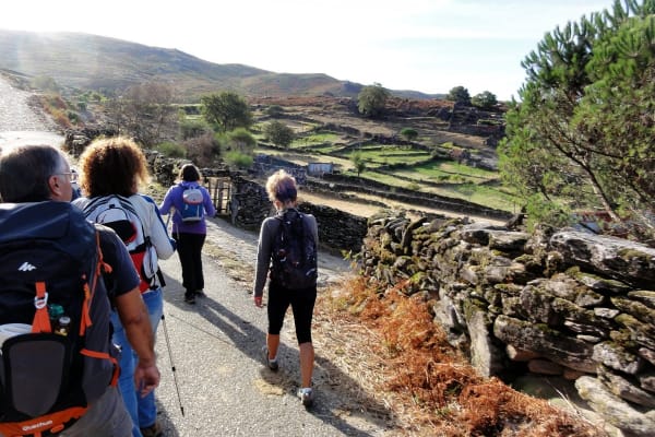 Foto 81 da atividade Galeria de Fotos