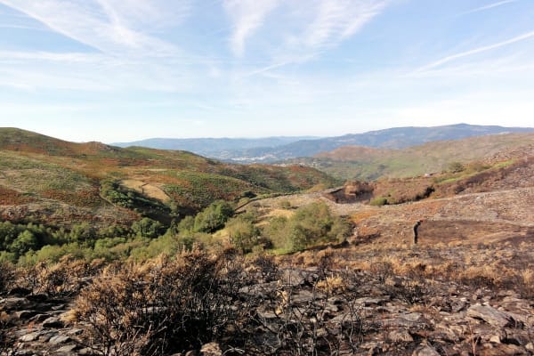 Foto 82 da atividade Galeria de Fotos