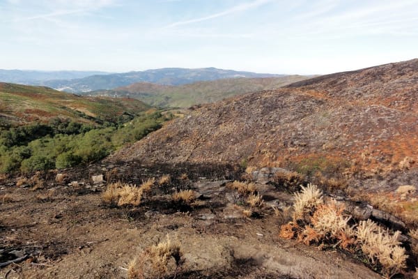 Foto 77 da atividade Galeria de Fotos